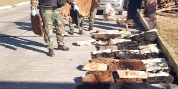 La policía secuestró mas de 160 cueros caprinos