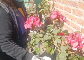 Siguen los trabajos en la lucha contra el dengue