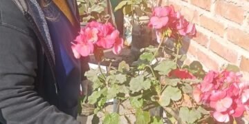 Siguen los trabajos en la lucha contra el dengue