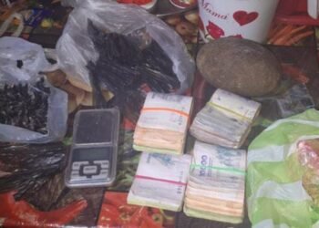 La policía secuestró en Orán armas y cocaína