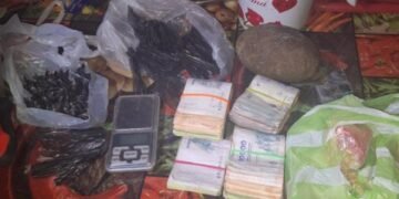 La policía secuestró en Orán armas y cocaína