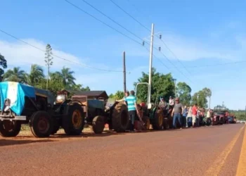 Yerbateros de Misiones piden la emergencia y advierten tractorazo