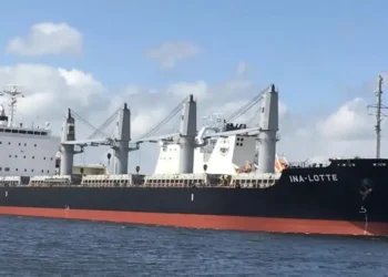 Viruela del mono: Aislaron a un barco que navegaba por el río Paraná por un posible contagio