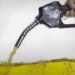 Aumenta el precio de los biocombustibles: qué pasará con la nafta y el gasoil