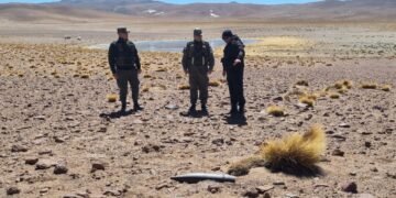 Desactivaron un proyectil de artillería hallado en la puna