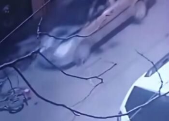 Manejaba con 3,27 gramos de alcohol en sangre, mató a un vecino y dejó gravemente herido a otro