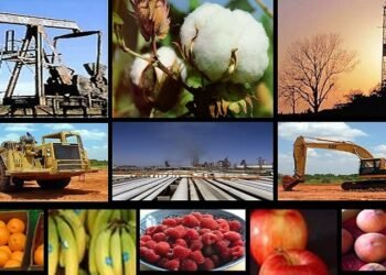 La actividad económica cayó 3,2% en el primer semestre