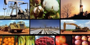 La actividad económica cayó 3,2% en el primer semestre