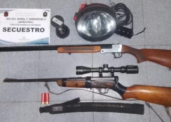 Más de 50 armas de fuego fueron sacadas de circulación