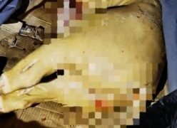 Incautaron carne no apta para el consumo humano