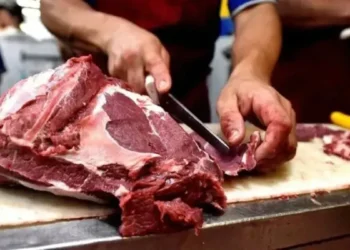 El consumo de carne vacuna cayó al nivel más bajo en 26 años