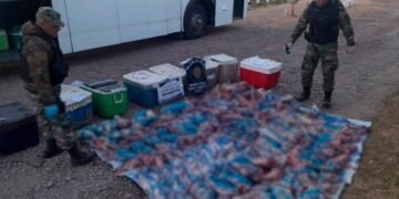 Incautaron 500 kilos de carne no apta para el consumo humano