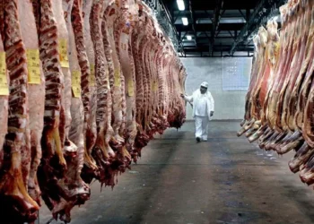 El Gobierno elimina derechos de exportación en carnes y lácteos