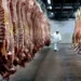 El Gobierno elimina derechos de exportación en carnes y lácteos