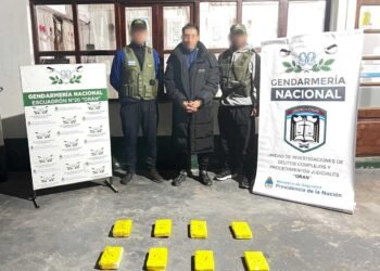 Traficaba más de ocho kilos de cocaína en un tour de compras