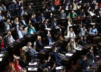Diputados rechazó el DNU que aumentaba los fondos de la SIDE