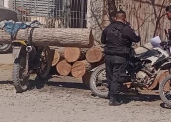 Demoraron a cuatro hombres por sustracción de madera