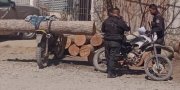 Demoraron a cuatro hombres por sustracción de madera
