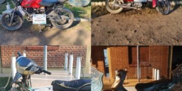 La policía recuperó cuatro motos robadas