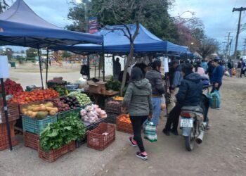 Hoy verdurazo en Plaza Santa Marta