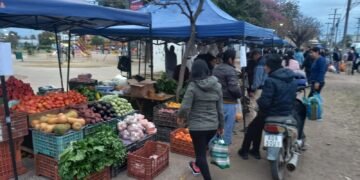 Hoy verdurazo en Plaza Santa Marta