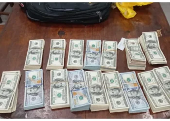 Aguas Blancas: Boliviano cayó en un paso ilegal con más de 156 mil dólares