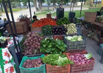 Hoy se cumple el “Verdurazo” en la Plaza San Martín