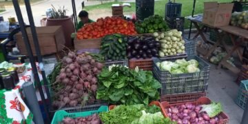 Hoy se cumple el “Verdurazo” en la Plaza San Martín