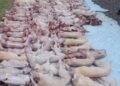 Secuestraron más de 760 kilos de carne no apta para el consumo humano