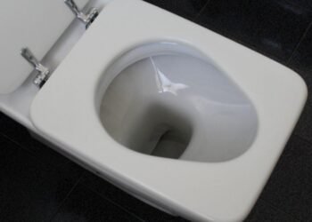 Robaron los sanitarios nuevos del Rancho de los Gauchos de Güemes