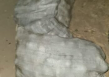 Cuatro personas fueron demoradas por el robo de naranjas y madera