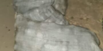 Cuatro personas fueron demoradas por el robo de naranjas y madera