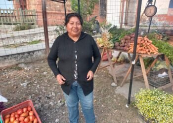 “Verdurazo” de los pequeños productores del NOA