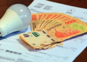 Hoy último día para renovar el subsidio en la boleta de la luz