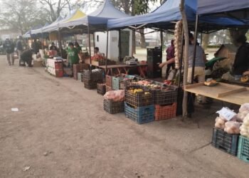 El Verdurazo llegó a la plaza Santa Marta