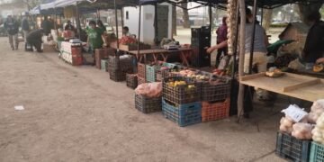 El Verdurazo llegó a la plaza Santa Marta