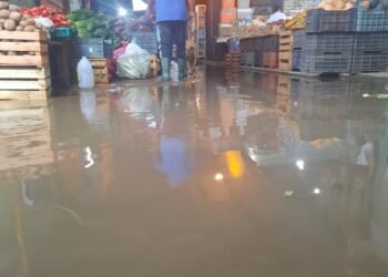 Una vergüenza el estado del Mercado de Abasto