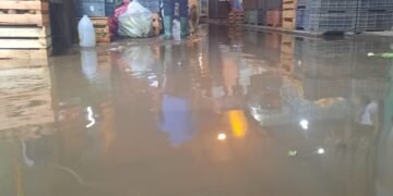 Una vergüenza el estado del Mercado de Abasto