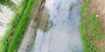 Siguen reclamando por una gran pérdida de líquidos cloacales