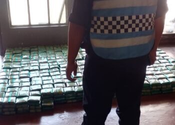 La policía secuestró más de 500 kilos de hojas de coca