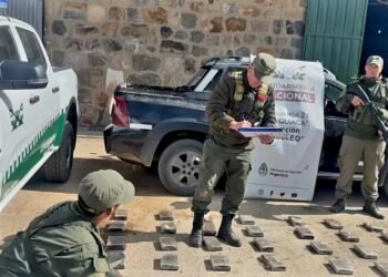 Traficaban 87 kilos de cocaína en una camioneta