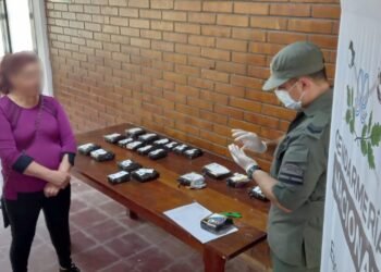 Traficaba más de 8 kilos de cocaína en el panel del auto