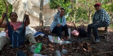 Ordenan el lanzamiento de un particular, no de la Comunidad Kolla Guaraní Río Blanco Banda Norte