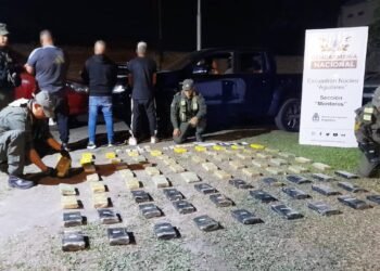 Los detuvieron traficando 84 kilos de cocaína