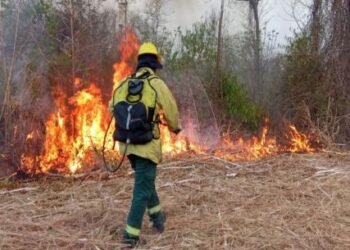 Intenso trabajo de lucha contra incendios forestales en Orán
