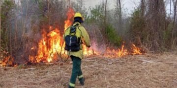 Intenso trabajo de lucha contra incendios forestales en Orán