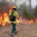 Intenso trabajo de lucha contra incendios forestales en Orán