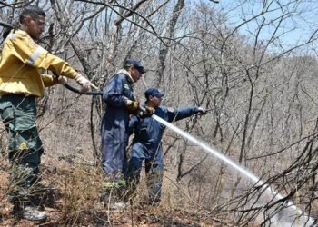 Mantienen el riesgo extremo de incendios forestales en la provincia