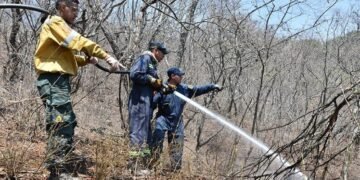 Mantienen el riesgo extremo de incendios forestales en la provincia