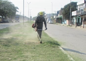 Hipólito Yrigoyen: Trabajos de limpieza y desmalezado
